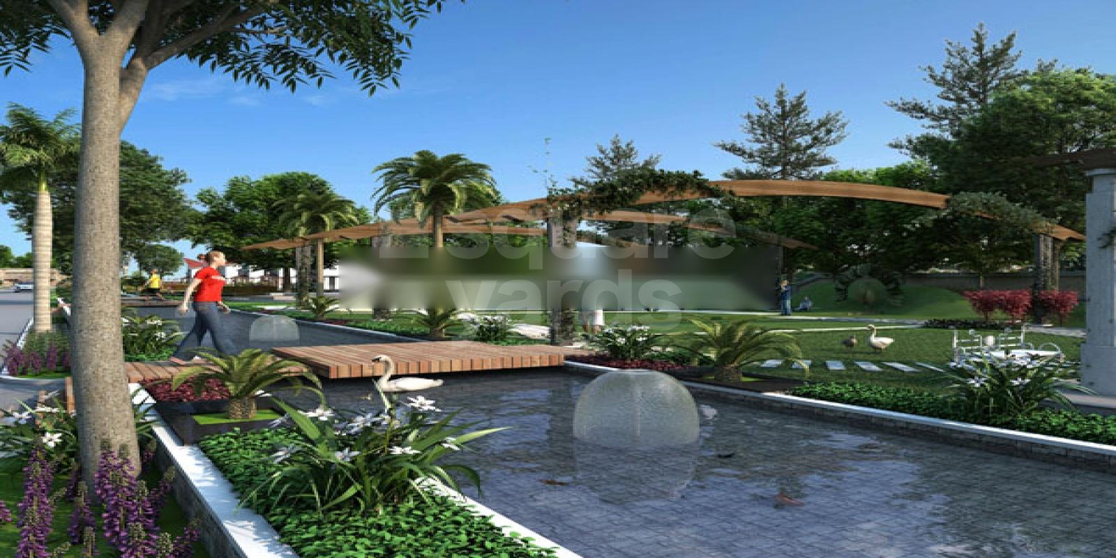 Privileged Realty Bella Vista