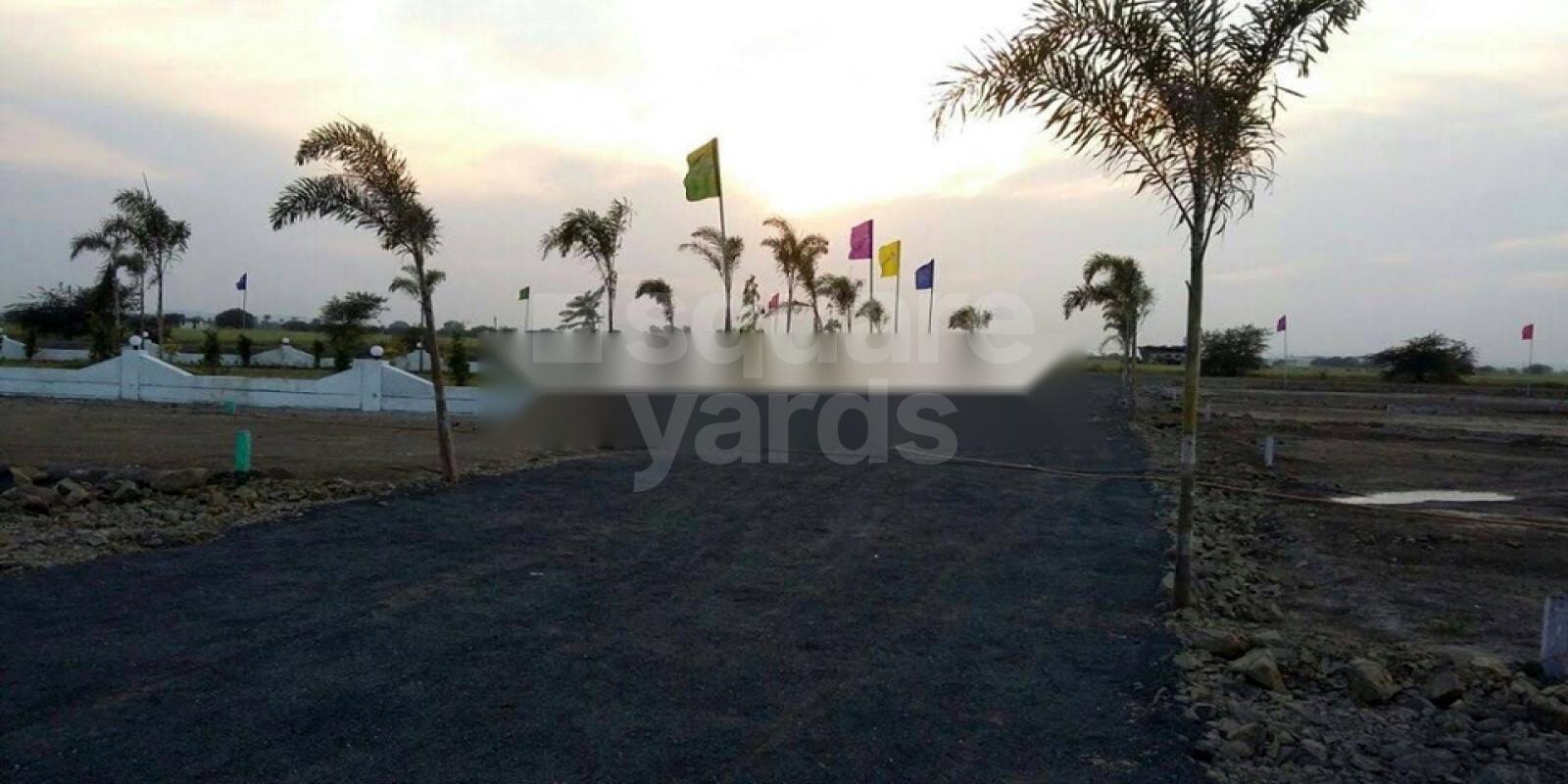 Tapti Divine Cover Image