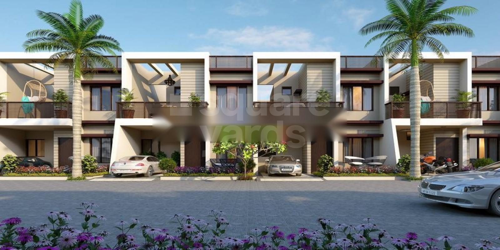 VK Comfort Lush Green Featured Image