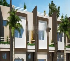 Amaltas Ambrosia Featured Image