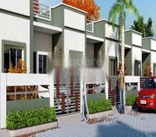 Amaltas Oak Featured Image