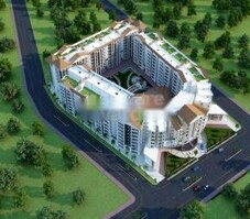 Amaltas Westminster Featured Image