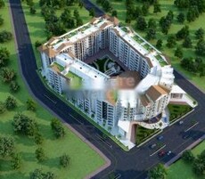 Amaltas Westminster Featured Image