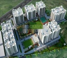 DK 24 Carat Featured Image