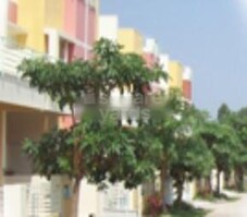 Elixir Gardens Featured Image