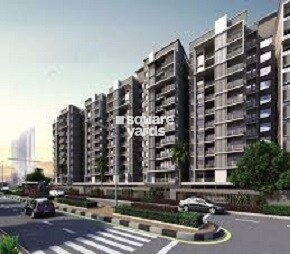 Nirvana Rudraksh Kasturi