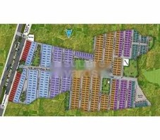 Oasis Featured Image