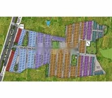 Oasis Featured Image