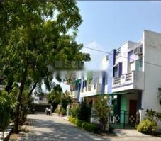 Om Orchid Green Featured Image