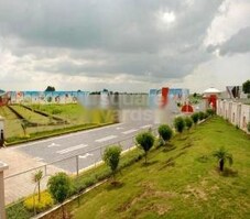 Paras Midas Featured Image