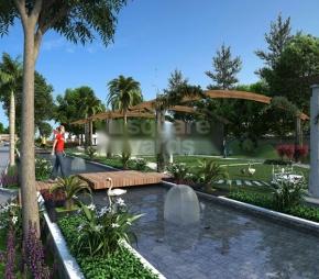 Privileged Realty Bella Vista