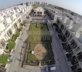 Ruchi Lifescapes