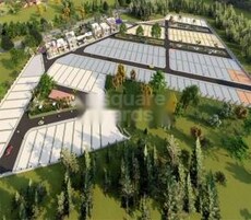 Sage Nirvana Phase 1 Featured Image