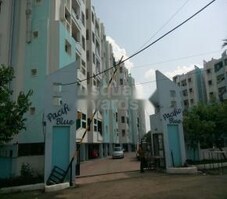 SARC Pacific Blue Featured Image