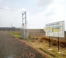 Sid Saffron Valley Featured Image