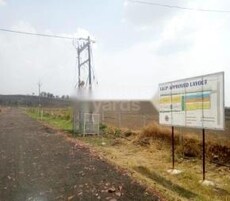 Sid Saffron Valley Featured Image