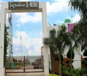 Signature S Nine