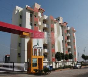 Soumya Evergreen