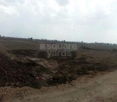 Swastik Green Bay Featured Image