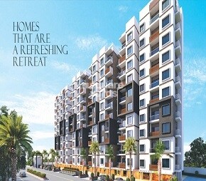 Ultimate Heights Featured Image