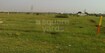 Appolo Alpines Hills Cover Image