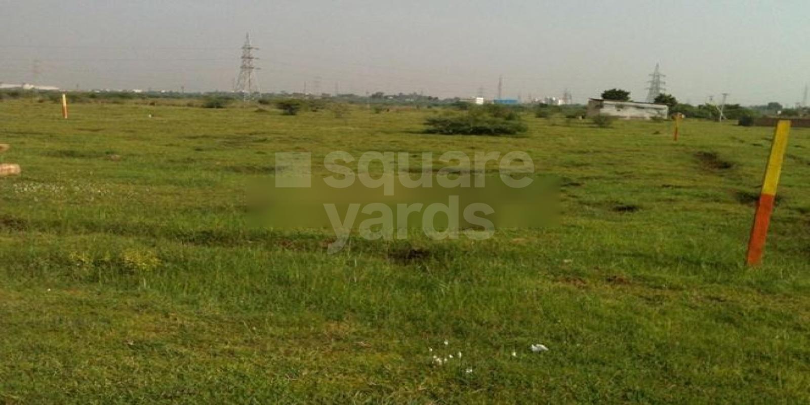 Appolo Alpines Hills