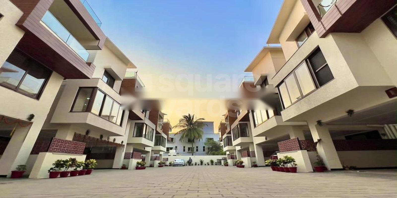 Aurovilla Cover Image