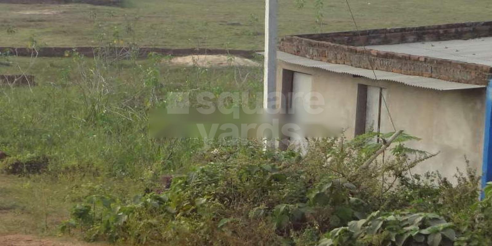 Biswal Brundavan Dham Cover Image