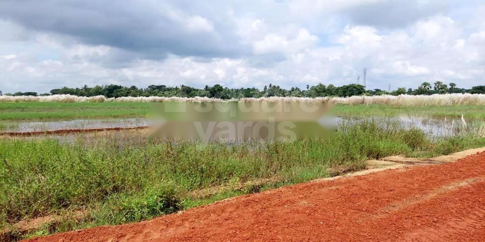 CIDU Little Odisha Phase 3 Featured Image