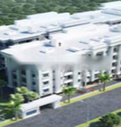 Dhauli Lifestyle Dhauli Lifestyle