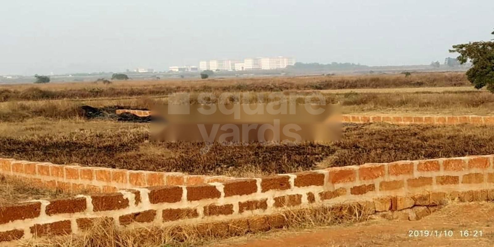 Jagannath Plots