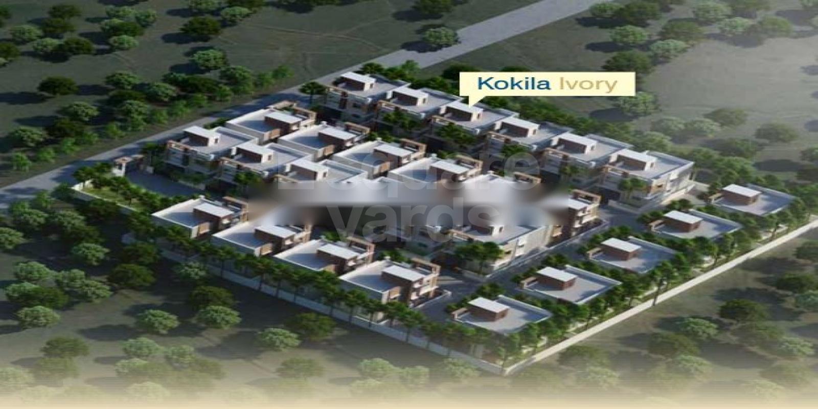 Kokila Ivory