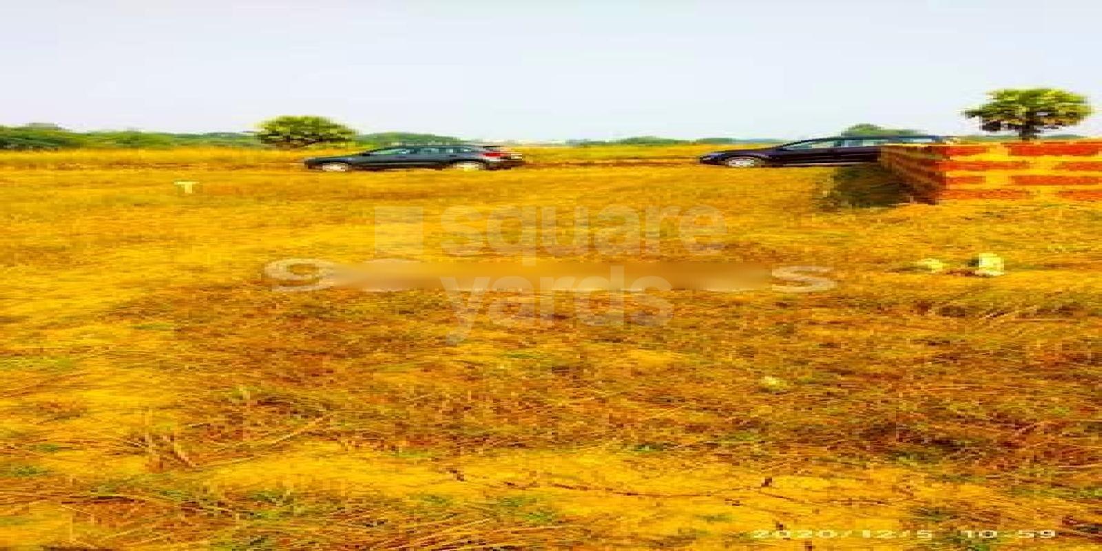MS Colony Cover Image