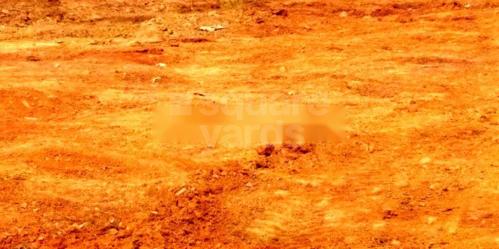 Nayak Jagmara Vihar Cover Image