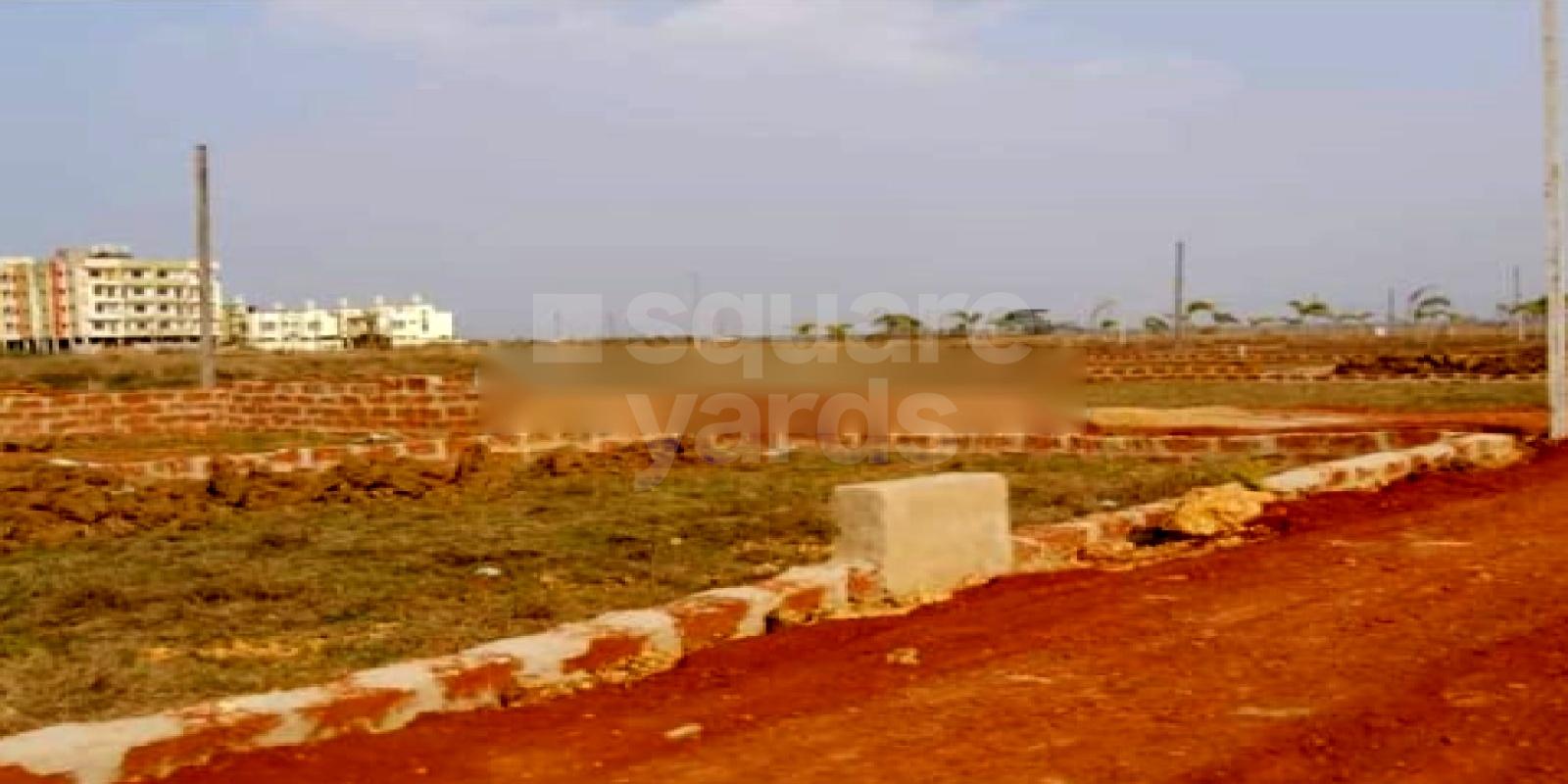 NSD Phase 2 Featured Image