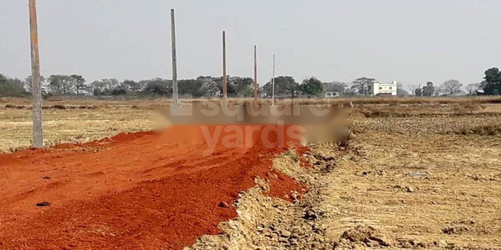 Omm Vihar Tamando Cover Image