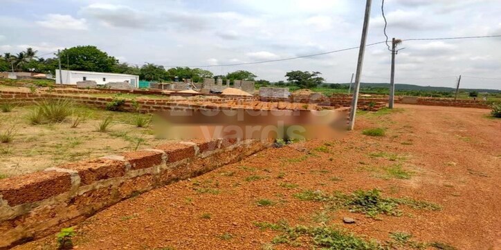 Satyanjana Plotting Cover Image