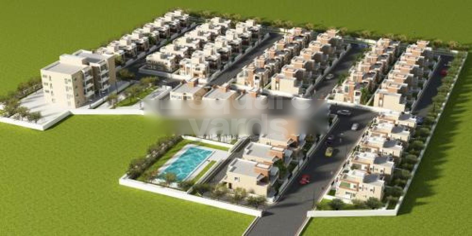 Shraddha Daffodils Featured Image