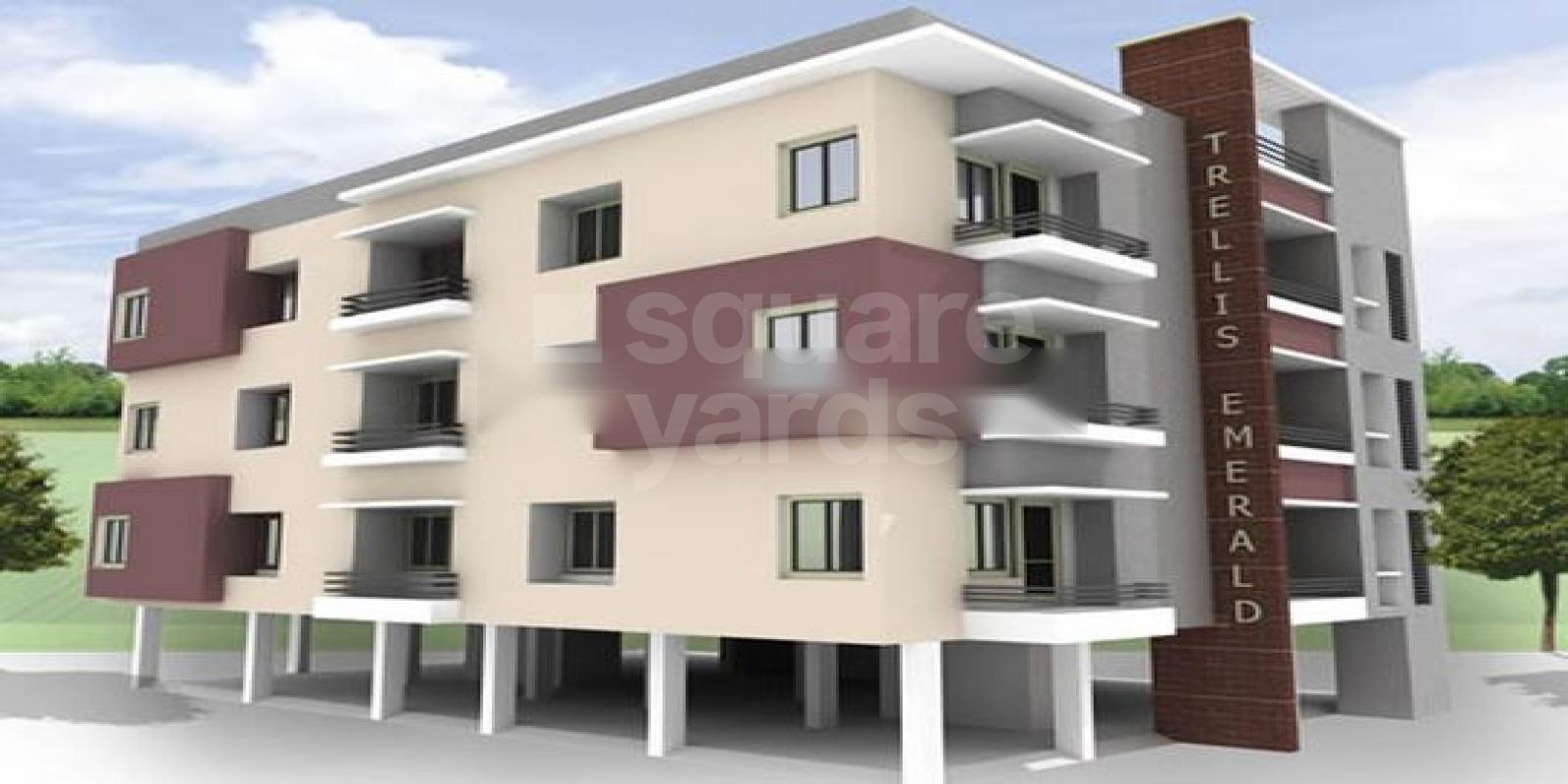 Trellis Emerald Featured Image