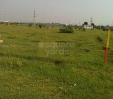 Appolo Alpines Hills Featured Image