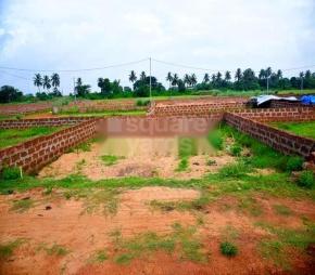Arya Vihar