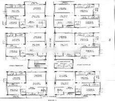 Ayeena Lotus Avenue Featured Image