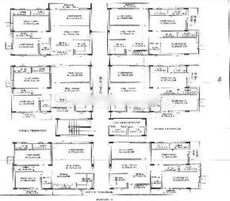 Ayeena Lotus Avenue Featured Image