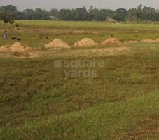 Biswal Jagannath Dham Featured Image