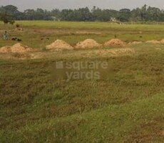 Biswal Jagannath Dham Featured Image