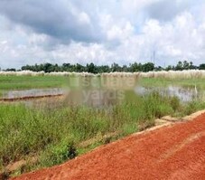 CIDU Little Odisha Phase 3 Featured Image