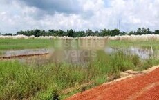 CIDU Little Odisha Phase 3 Featured Image