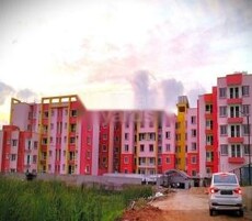 DHPL Platinum Featured Image