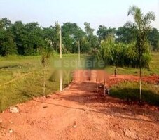 East Roshan City Featured Image