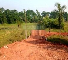 East Roshan City Featured Image